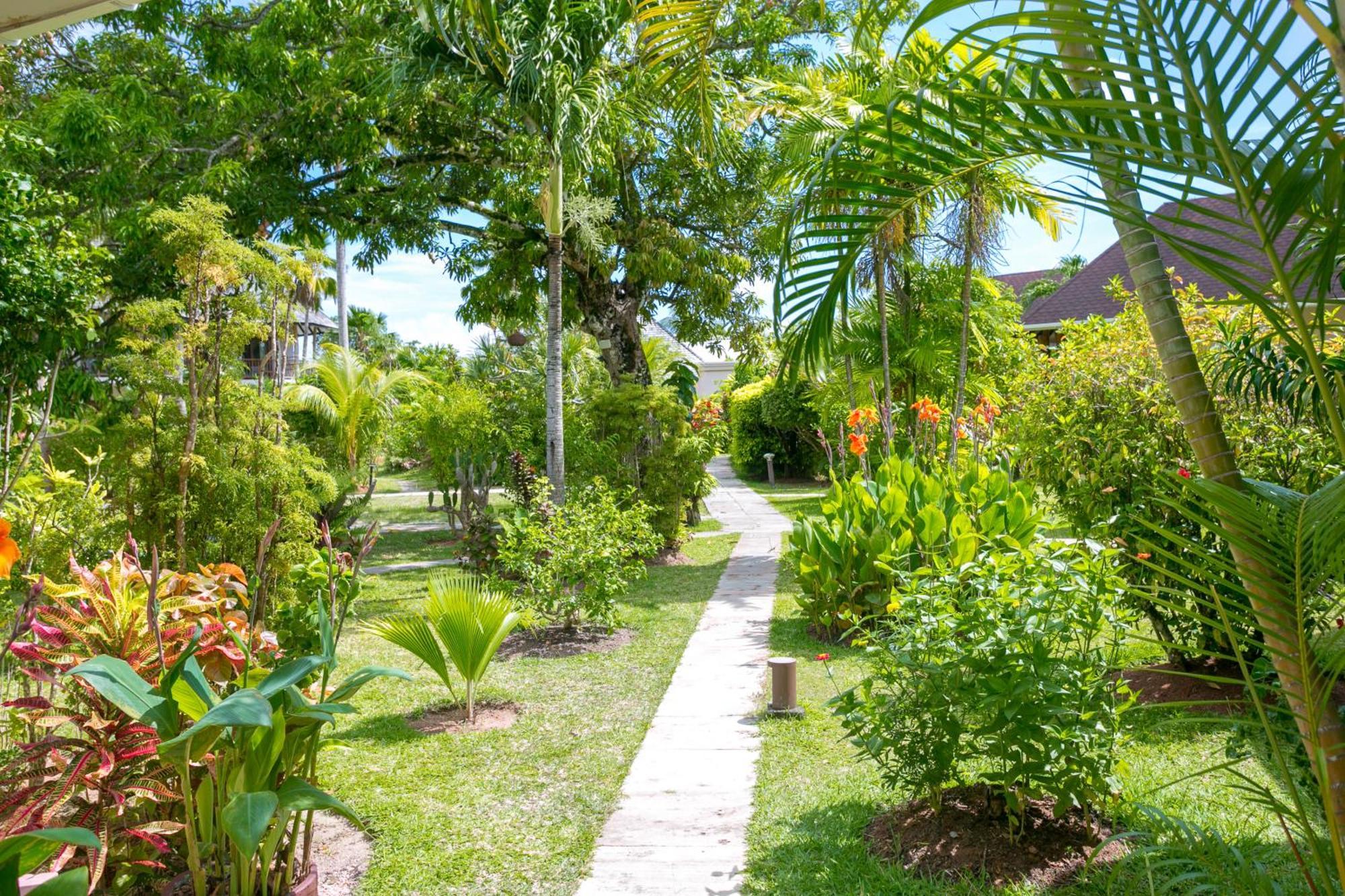 Les Lauriers Eco Hotel Anse Volbert Village  Exterior photo
